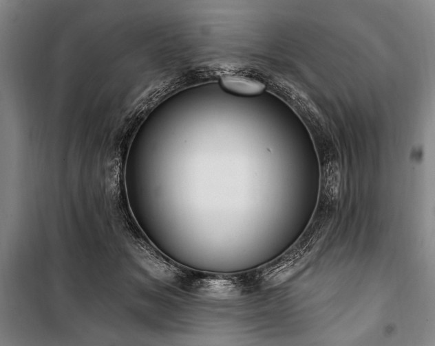 X0000101180509200806271255