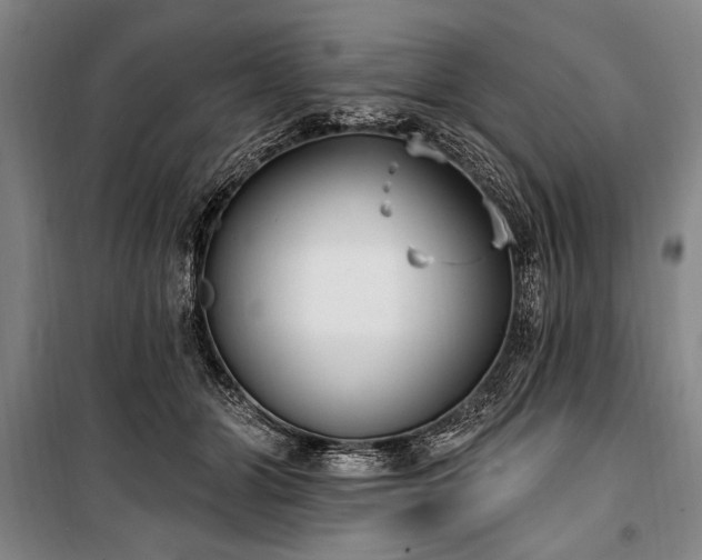 X0000101180510200806271255