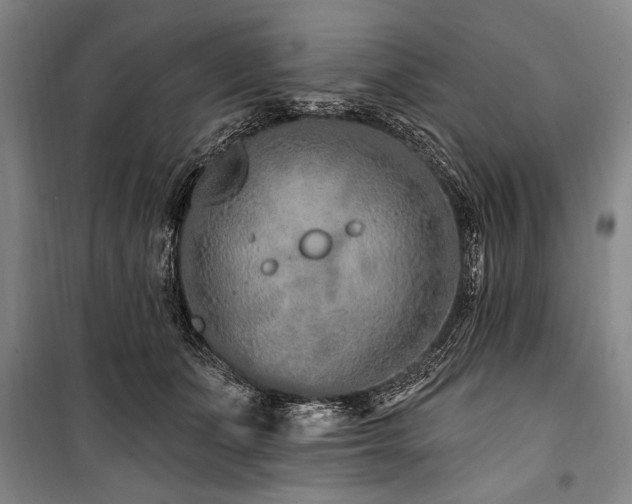 X0000101180511200806271255