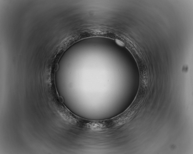 X0000101180512200806271255