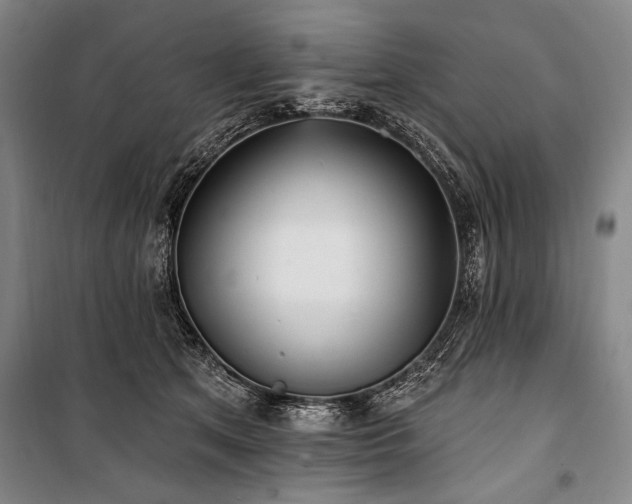 X0000101180513200806271255