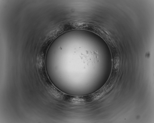 X0000101180515200806271255