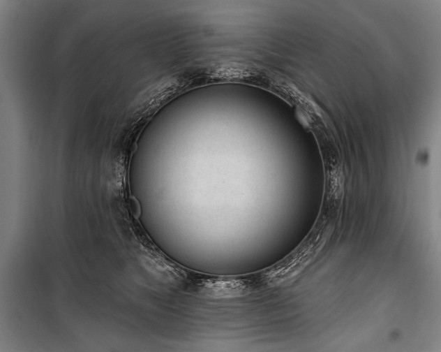 X0000101180517200806271255