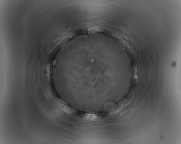 X0000101180519200806271255