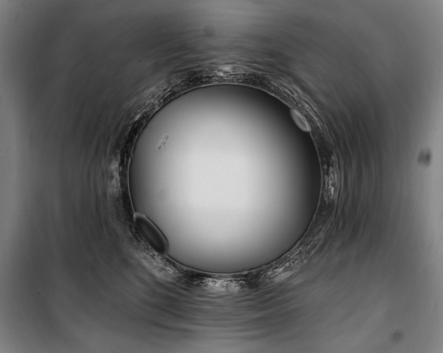 X0000101180520200806271255