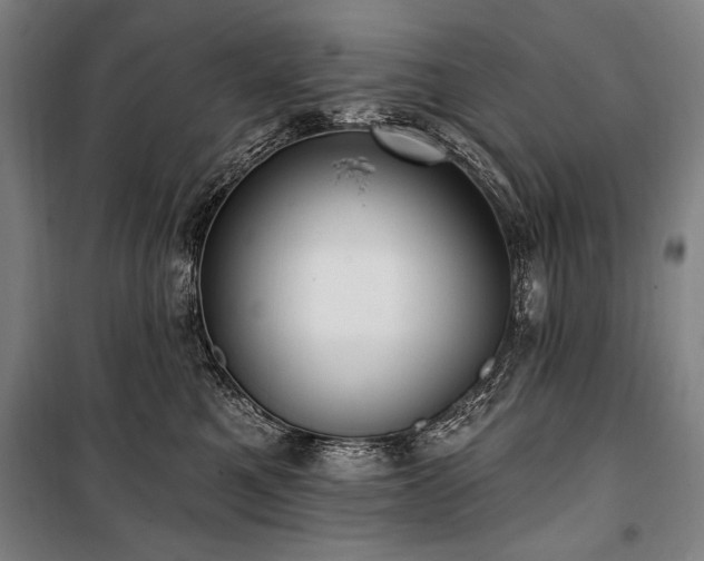 X0000101180521200806271255