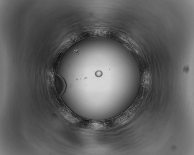 X0000101180522200806271255