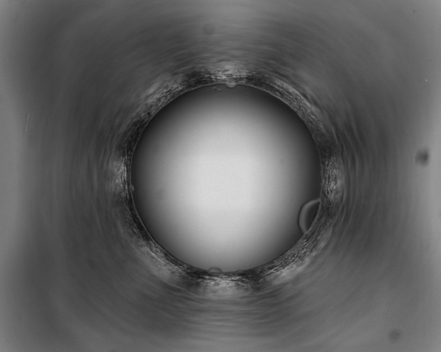 X0000101180523200806271255