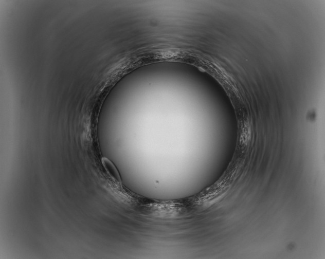 X0000101180524200806271254