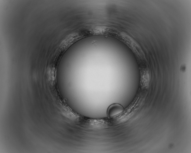X0000101180525200806271254