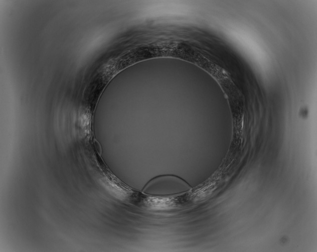 X0000101180526200806271254