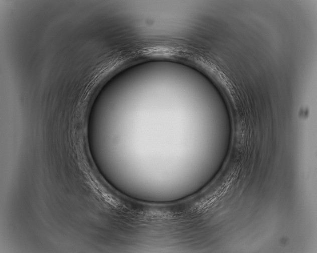 X0000101180529200806271254