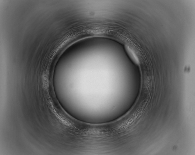 X0000101180530200806271254