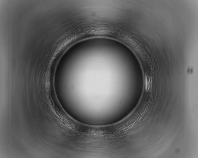 X0000101180531200806271254