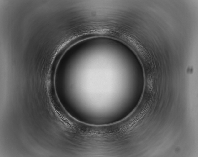 X0000101180532200806271254