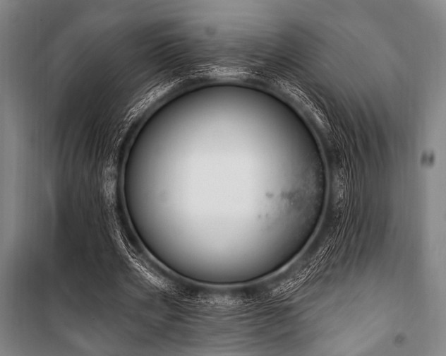 X0000101180533200806271254