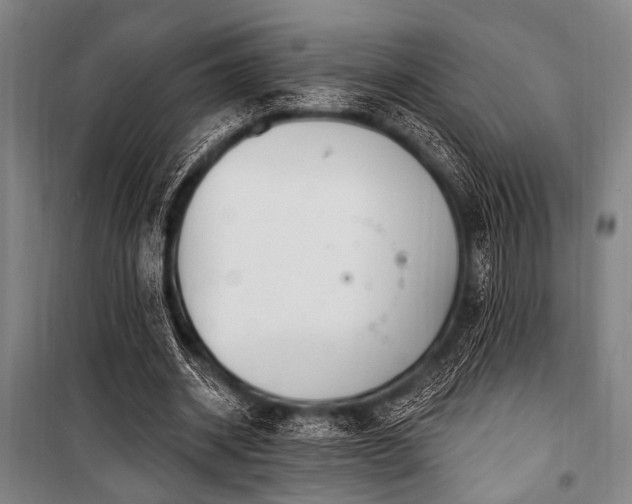 X0000101180534200806271254