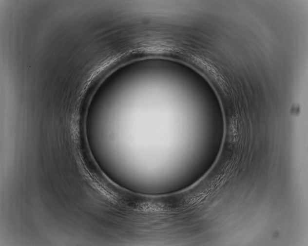 X0000101180535200806271254