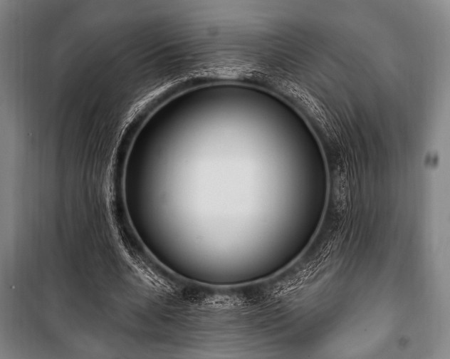 X0000101180536200806271254
