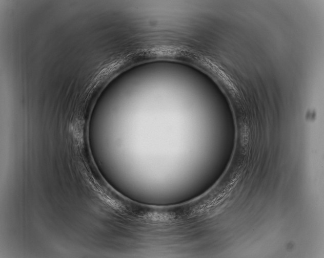 X0000101180537200806271254