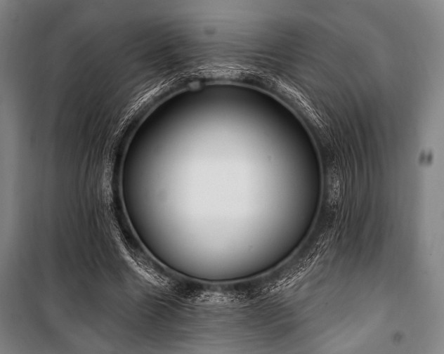 X0000101180538200806271254