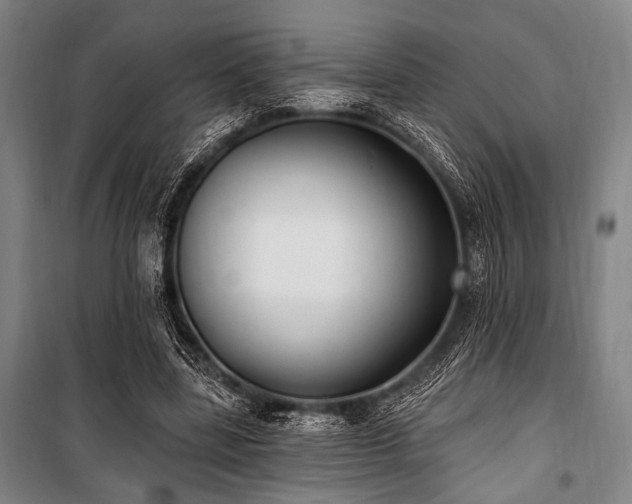X0000101180539200806271254