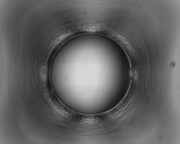 X0000101180540200806271254