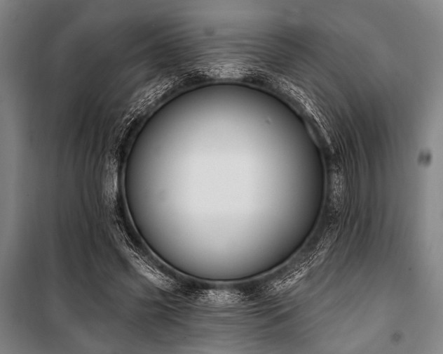 X0000101180541200806271254