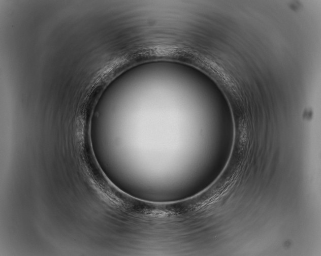 X0000101180542200806271254