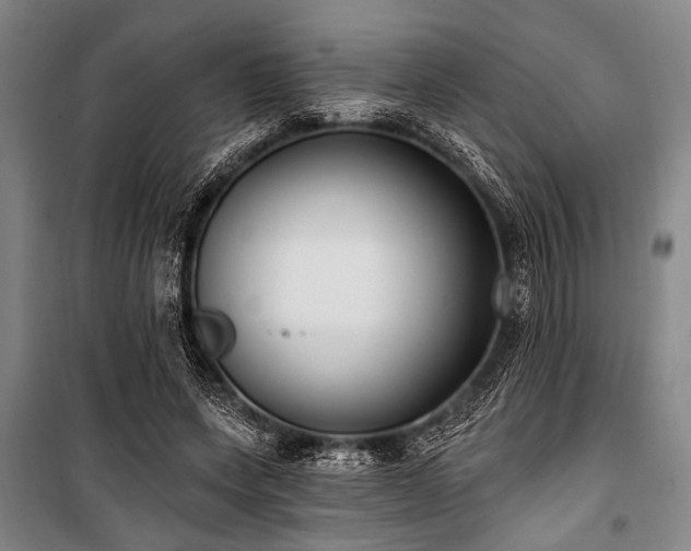 X0000101180543200806271254