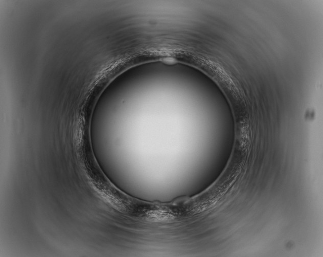 X0000101180544200806271254