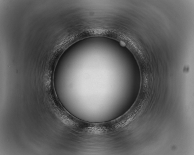 X0000101180545200806271254