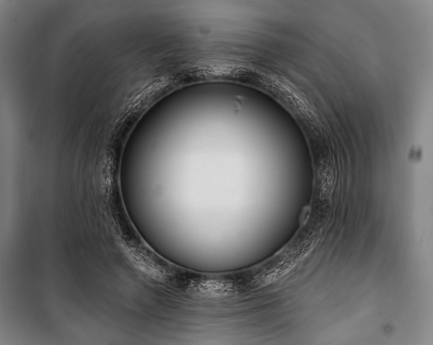 X0000101180546200806271254