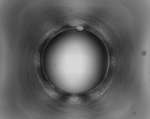 X0000101180547200806271254