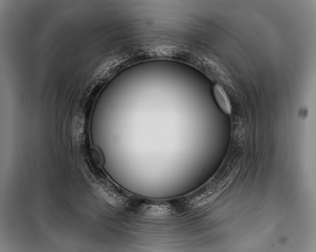 X0000101180548200806271254