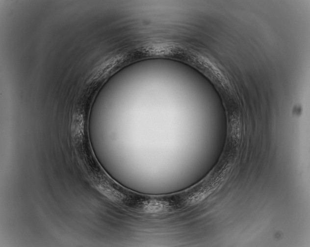X0000101180549200806271254