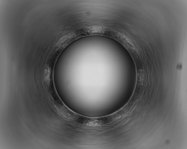X0000101180550200806271254