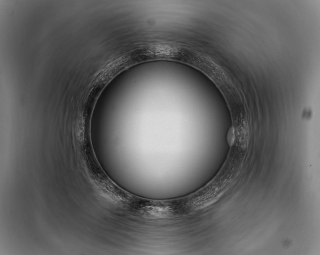 X0000101180552200806271254