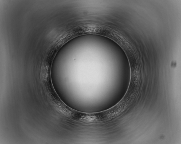 X0000101180554200806271254