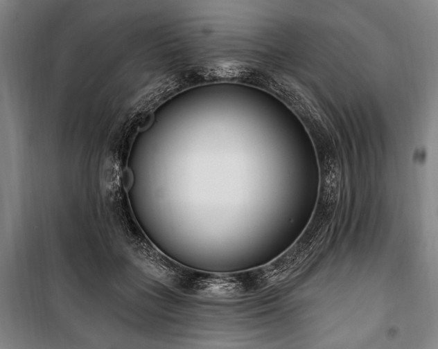 X0000101180555200806271254