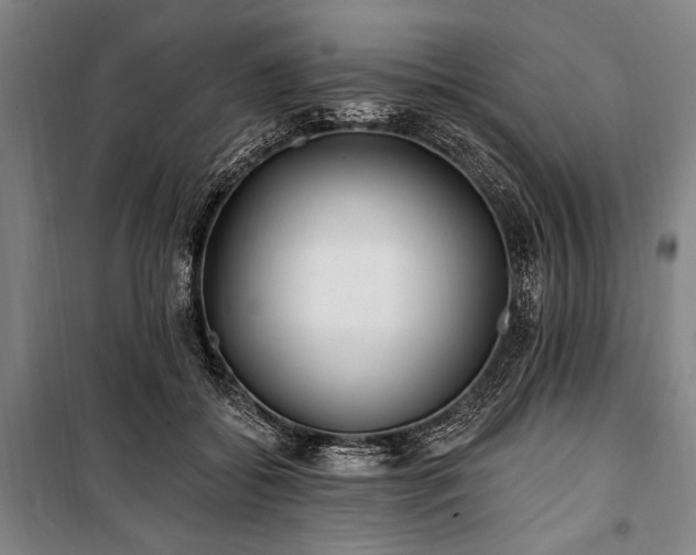 X0000101180556200806271254