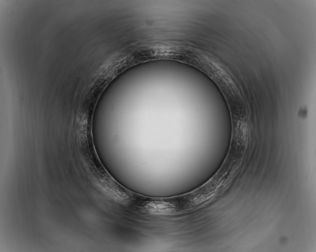 X0000101180557200806271254