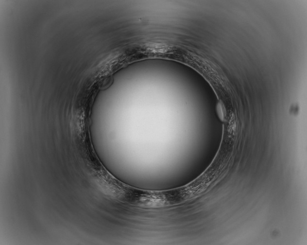 X0000101180559200806271254