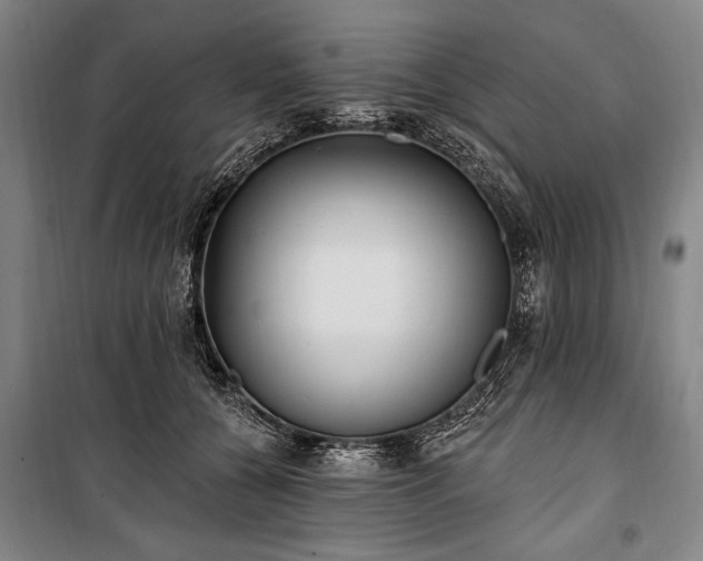 X0000101180560200806271254
