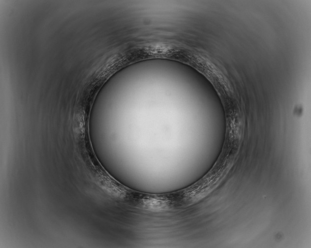 X0000101180561200806271254