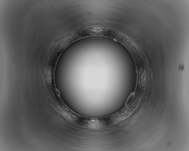 X0000101180562200806271254