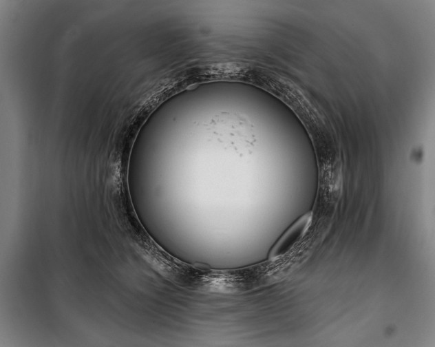 X0000101180564200806271254