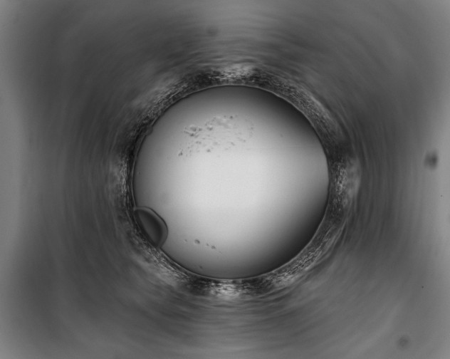 X0000101180565200806271254
