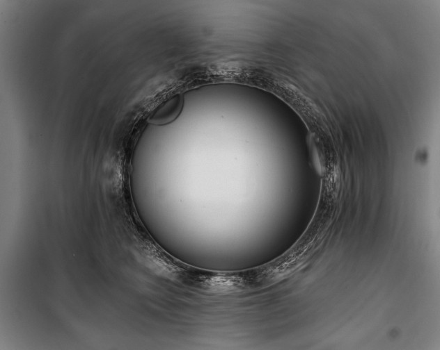 X0000101180566200806271254