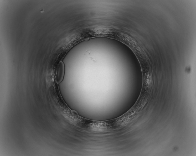 X0000101180567200806271254